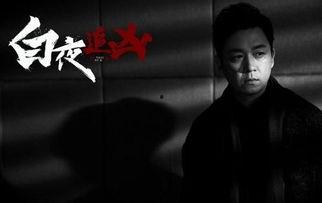 白夜追凶电视剧在线观看,黑白交织的悬疑之夜，揭秘犯罪背后的真相
